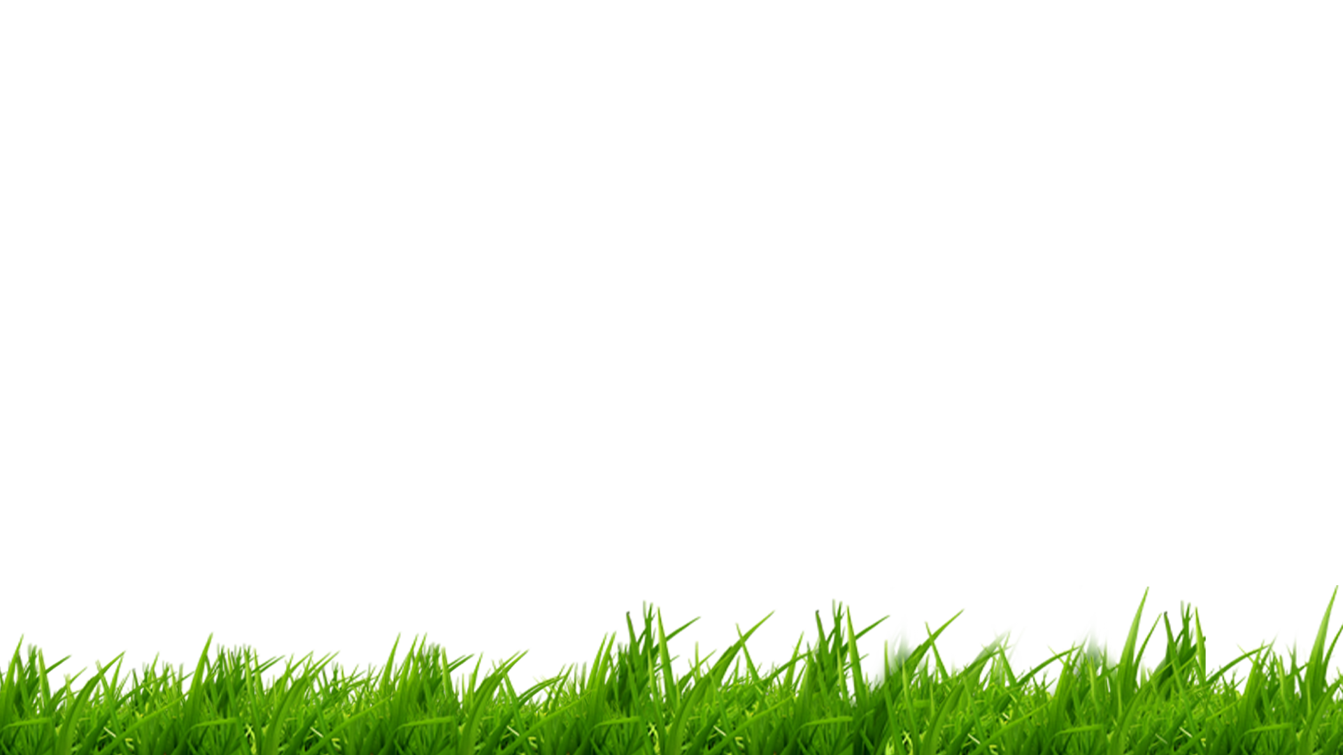 Grass